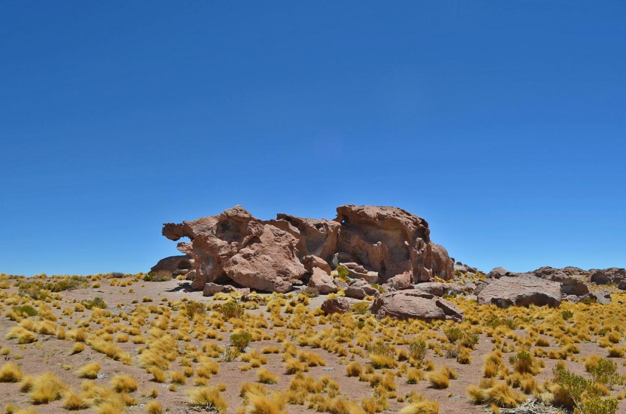 Ckuri Atacama Casa de hóspedes San Pedro de Atacama
