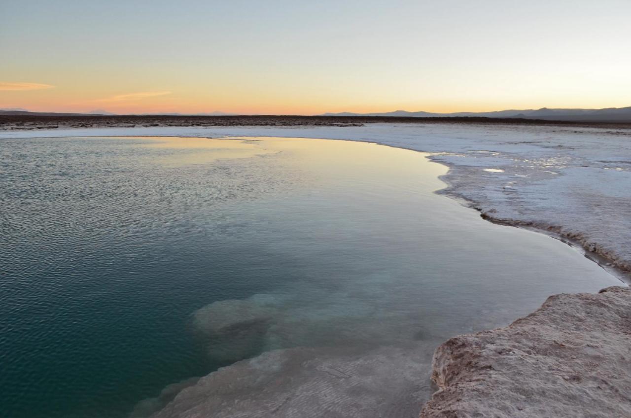 Ckuri Atacama *