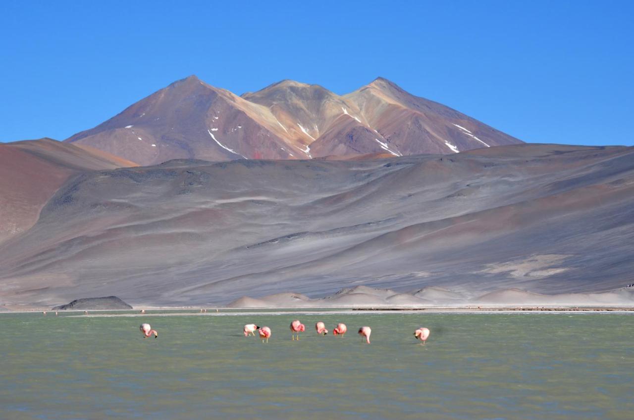 Casa de hóspedes Ckuri Atacama San Pedro de Atacama